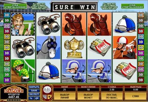 sure win microgaming|Sure Win Slot • Free Play Online • Casino Game • Microgaming.